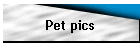 Pet pics